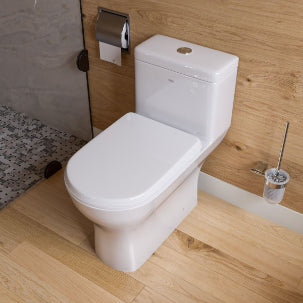 EAGO One-Piece Dual Flush High Efficiency Toilet | White Eco-Friendly Modern Design TB353